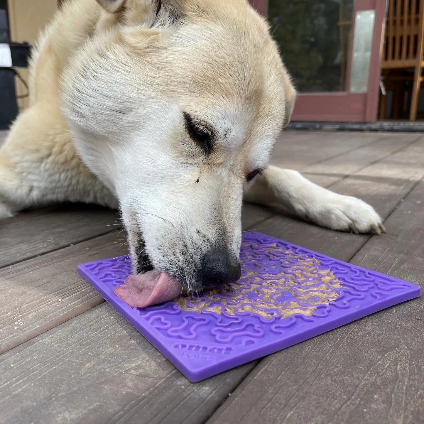 Slikkematte kjøttbein - Dyrekompaniet