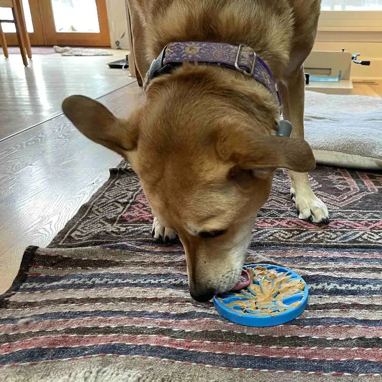 Slikkematte Luftballong - Dyrekompaniet