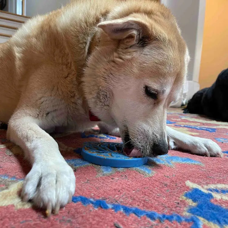 Slikkematte Luftballong - Dyrekompaniet