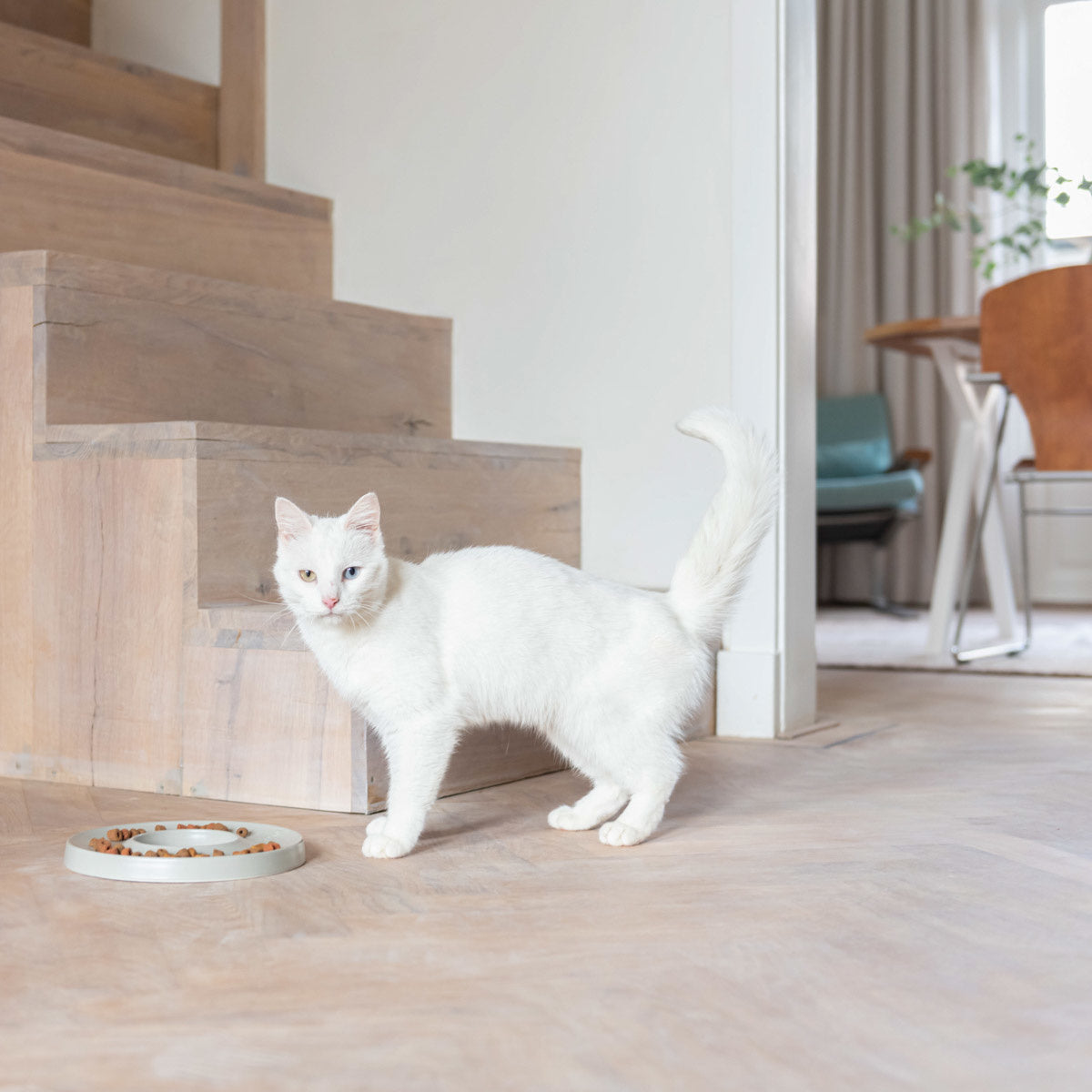 spise saktere matskål