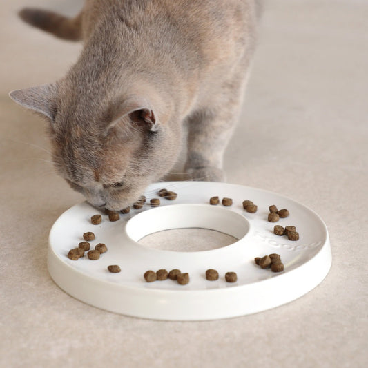 Matskål til hund og katt