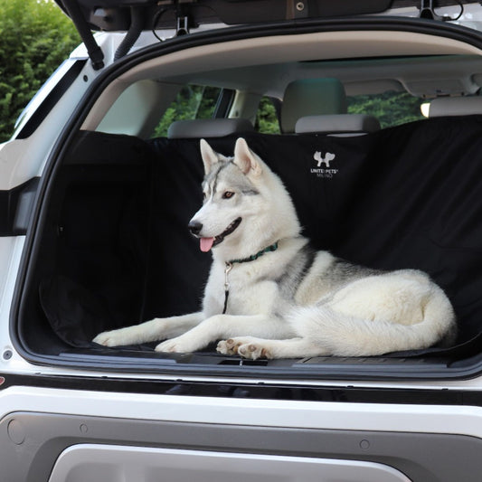 Stor bilsetebeskyttelse for hund i bil svart/grønn - Dyrekompaniet
