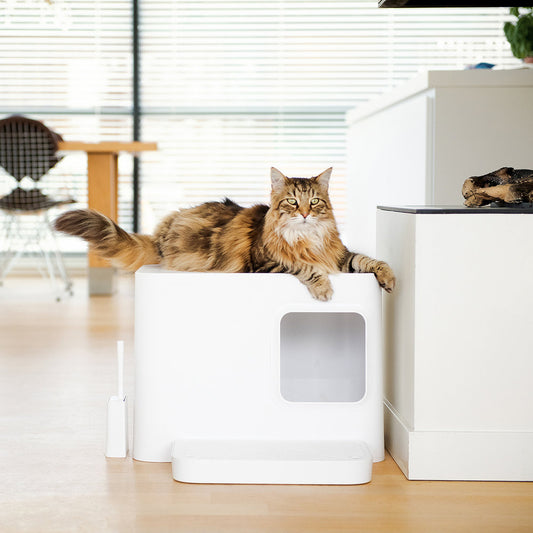 Hvit ekstra stor kattedo med lokk - Kattetoalett hus - Dyrekompaniet