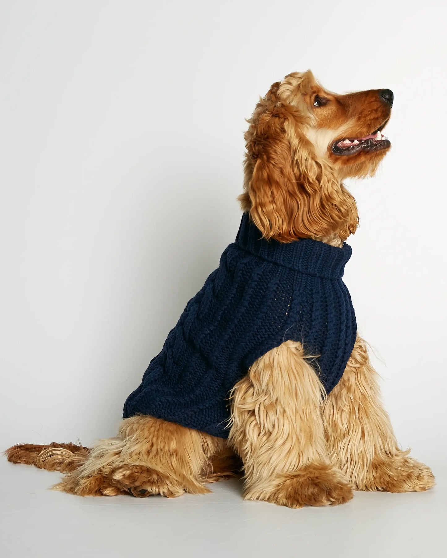 Strikket hundegenser 100% ull - mørk blå - Dyrekompaniet