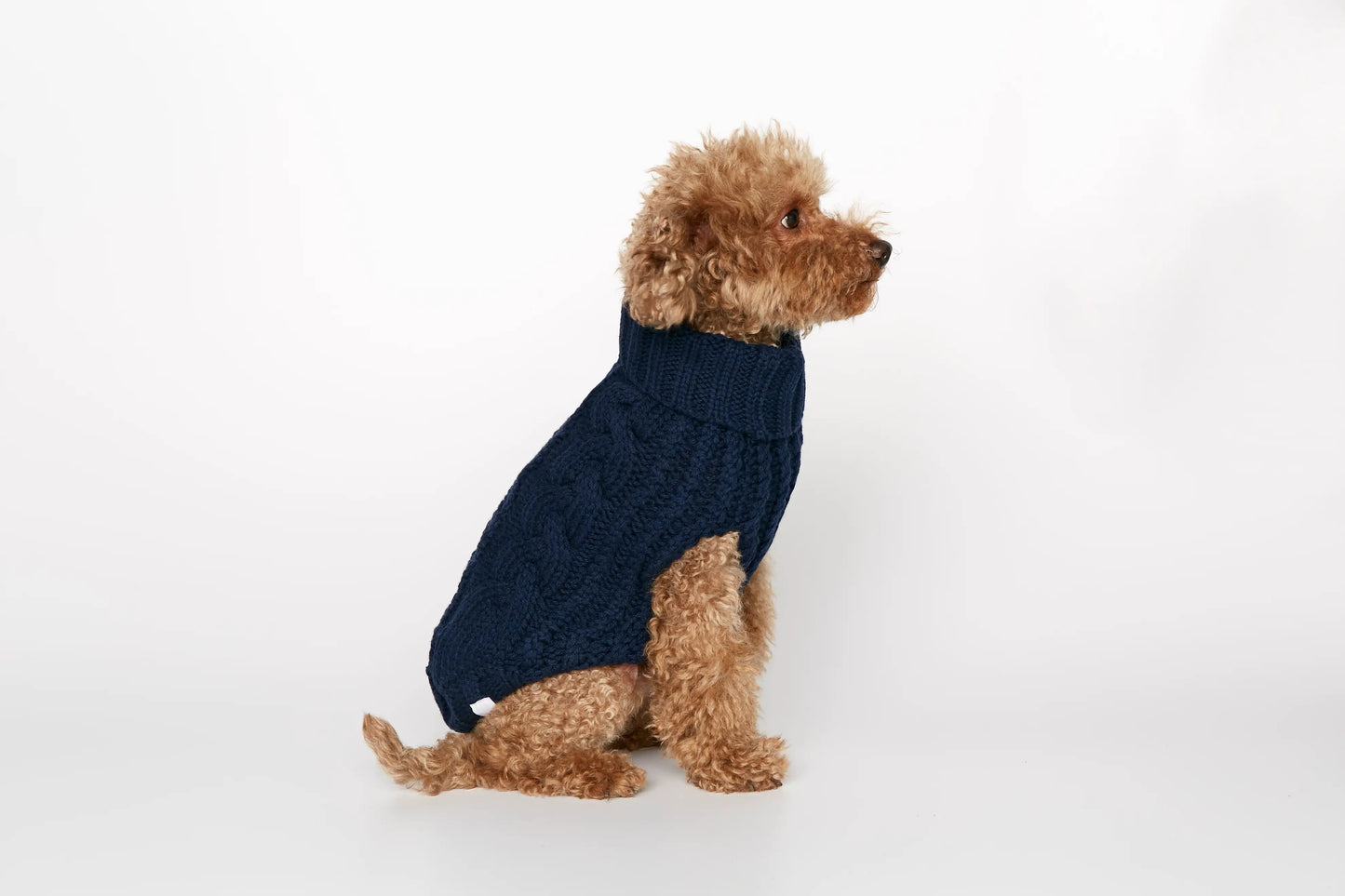 Strikket hundegenser 100% ull - mørk blå - Dyrekompaniet