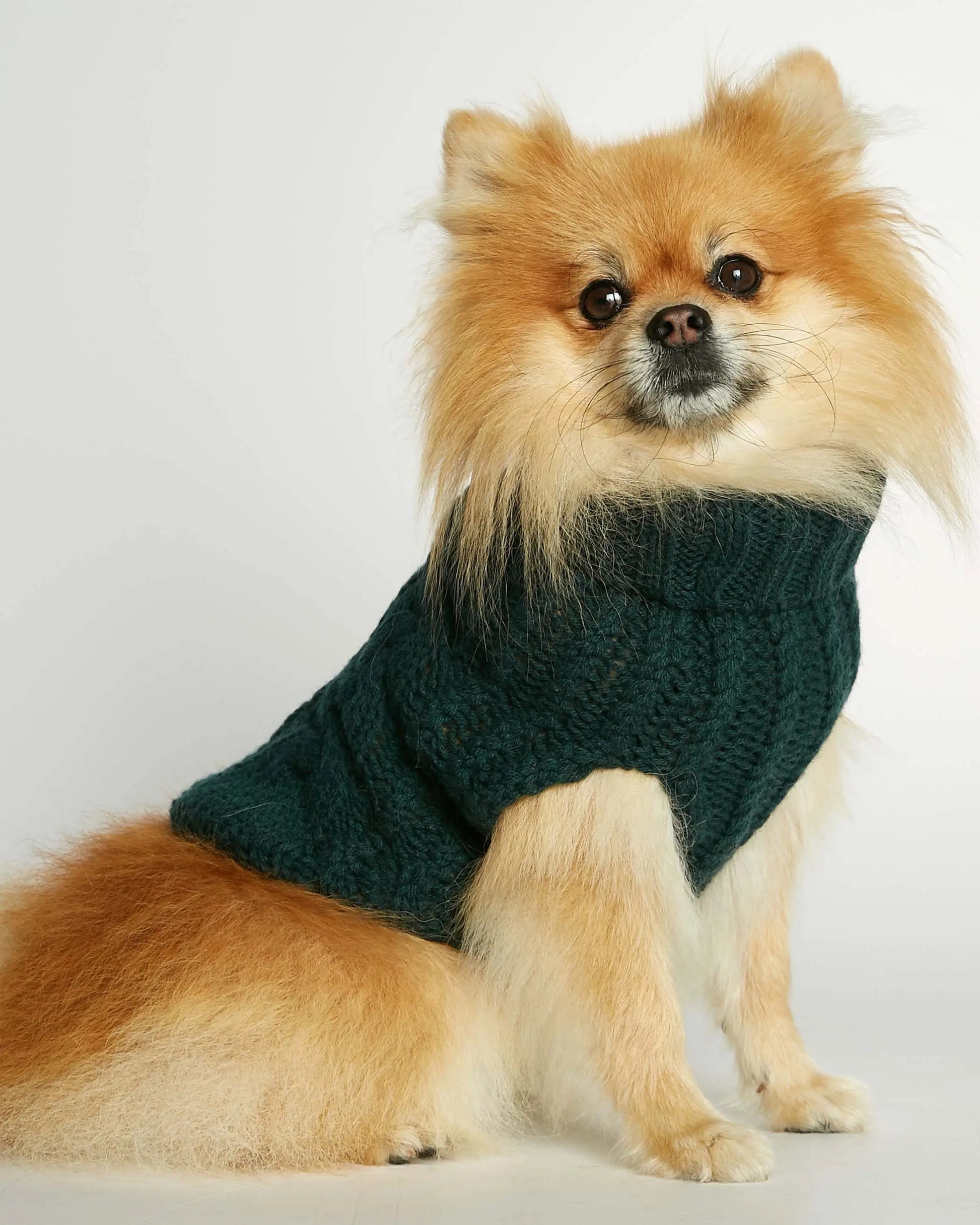 Strikket hundegenser 100% ull - mørk grønn - Dyrekompaniet