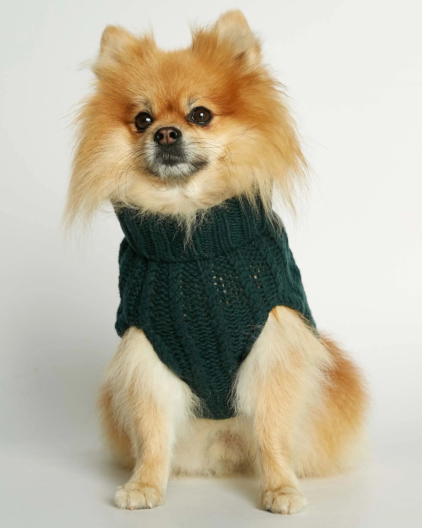 Strikket hundegenser 100% ull - mørk grønn - Dyrekompaniet