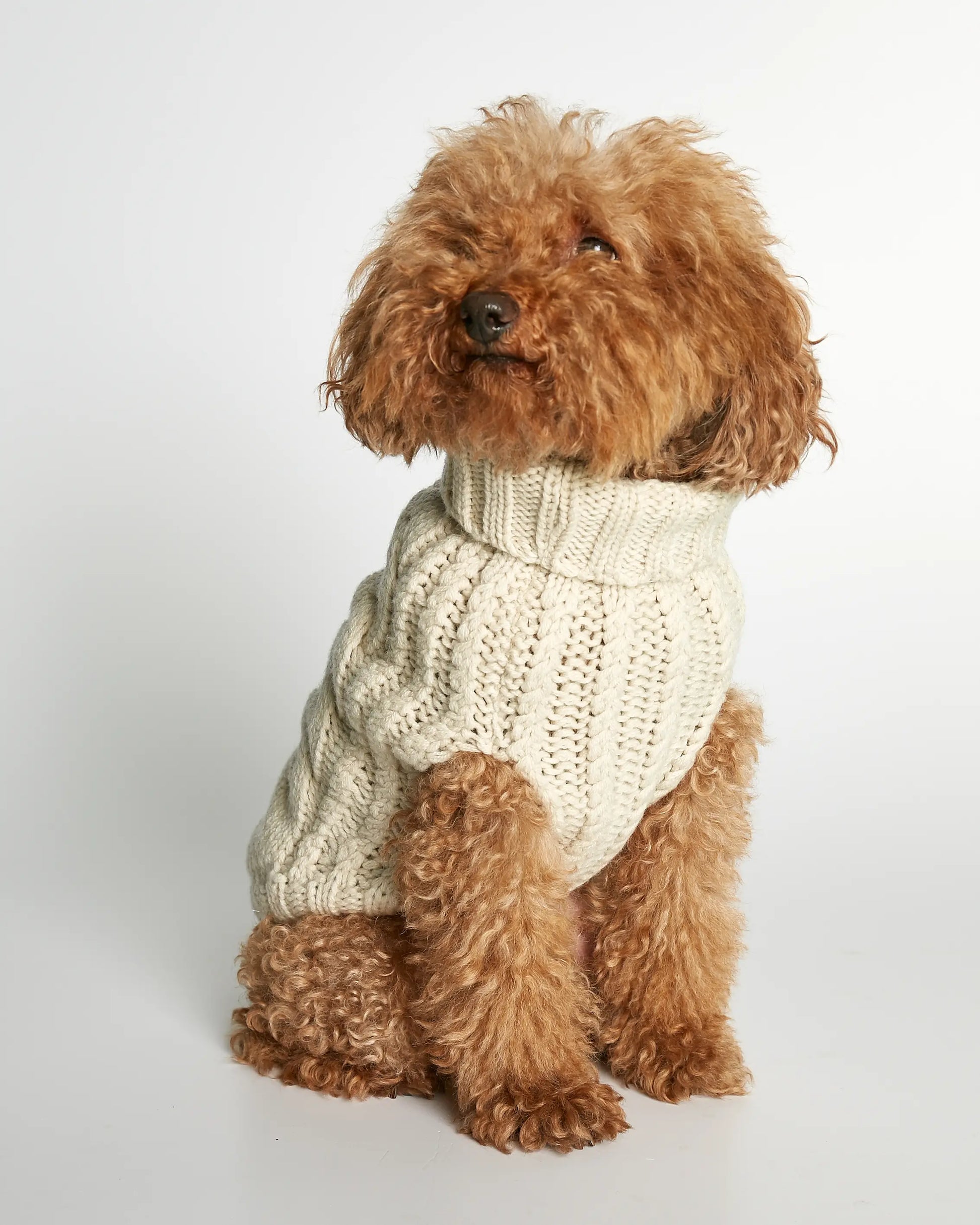 Strikket hundegenser 100% ull - offwhite - Dyrekompaniet