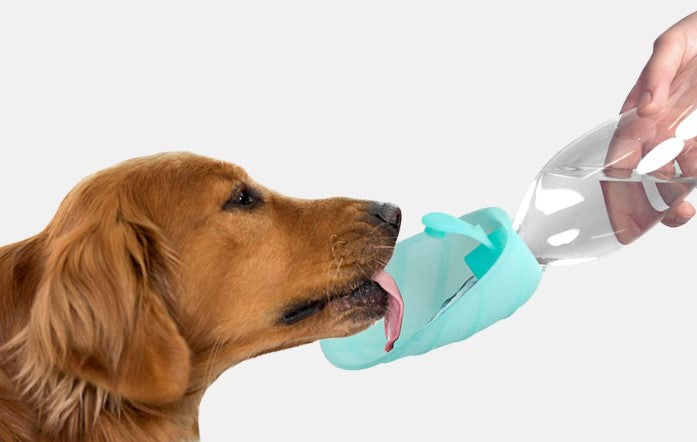 vann til hund på tur - Dyrekompaniet