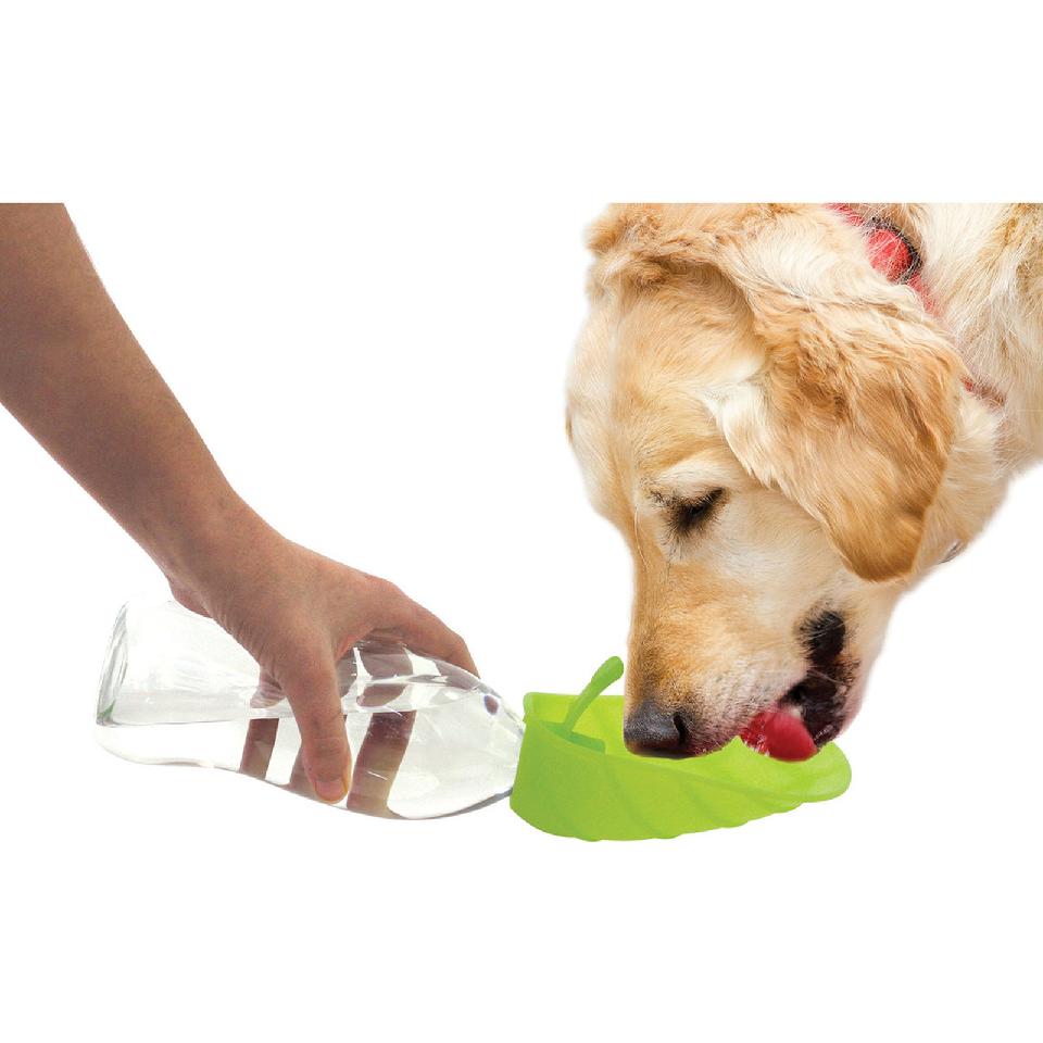 enkelt å ta med på tur med hund - Dyrekompaniet