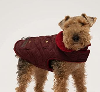 Lekker hundejakke  - Dyrekompaniet