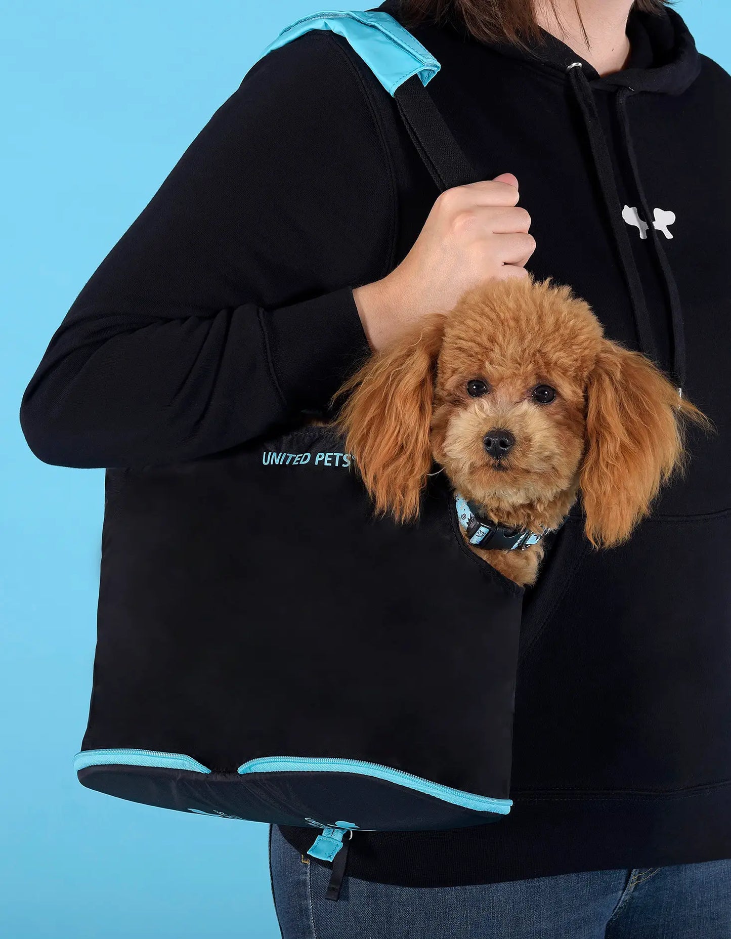 Sammenleggbar veske til hund og katt svart/blå - Dyrekompaniet