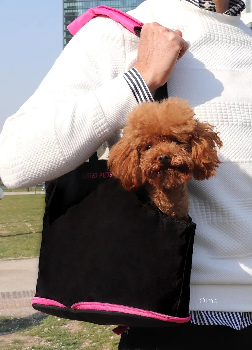 Sammenleggbar veske til hund og katt svart/lilla - Dyrekompaniet