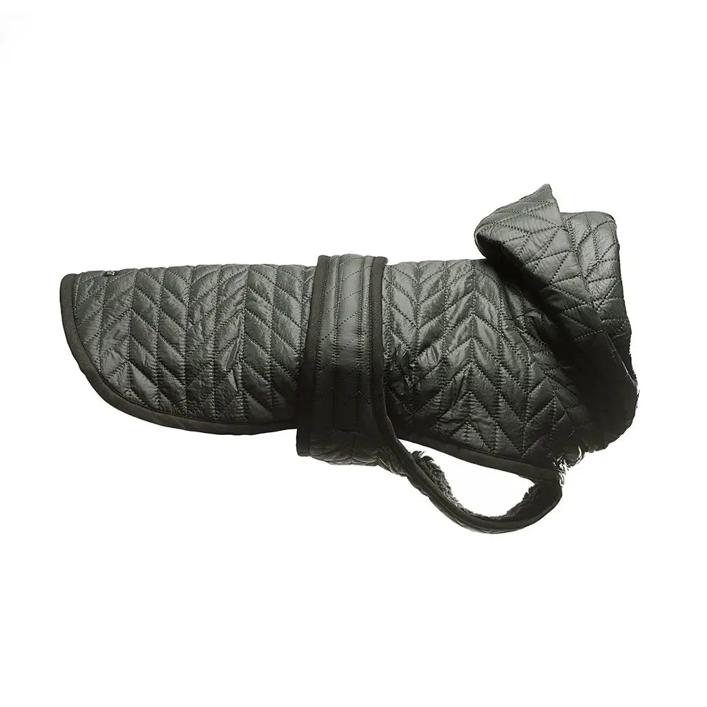 Vinterjakke til hund - mørk grønn - Dyrekompaniet